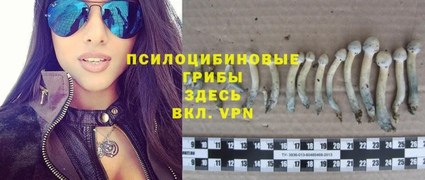 прущие крисы Алексин