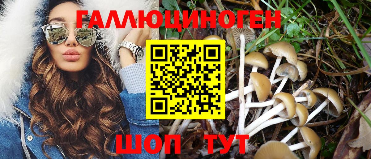 Елизово  Псилоцибиновые грибы Psilocybe  Вход с VPN  Галлюциногенные грибы прущие грибы 